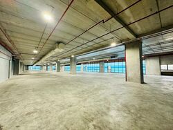 Suites 123 (D8), Warehouse #575776231